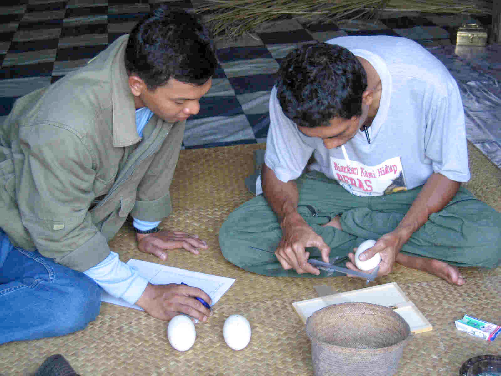 False Gharial (Tomistoma Schlegelii) Surveys In West Kalimantan 2004