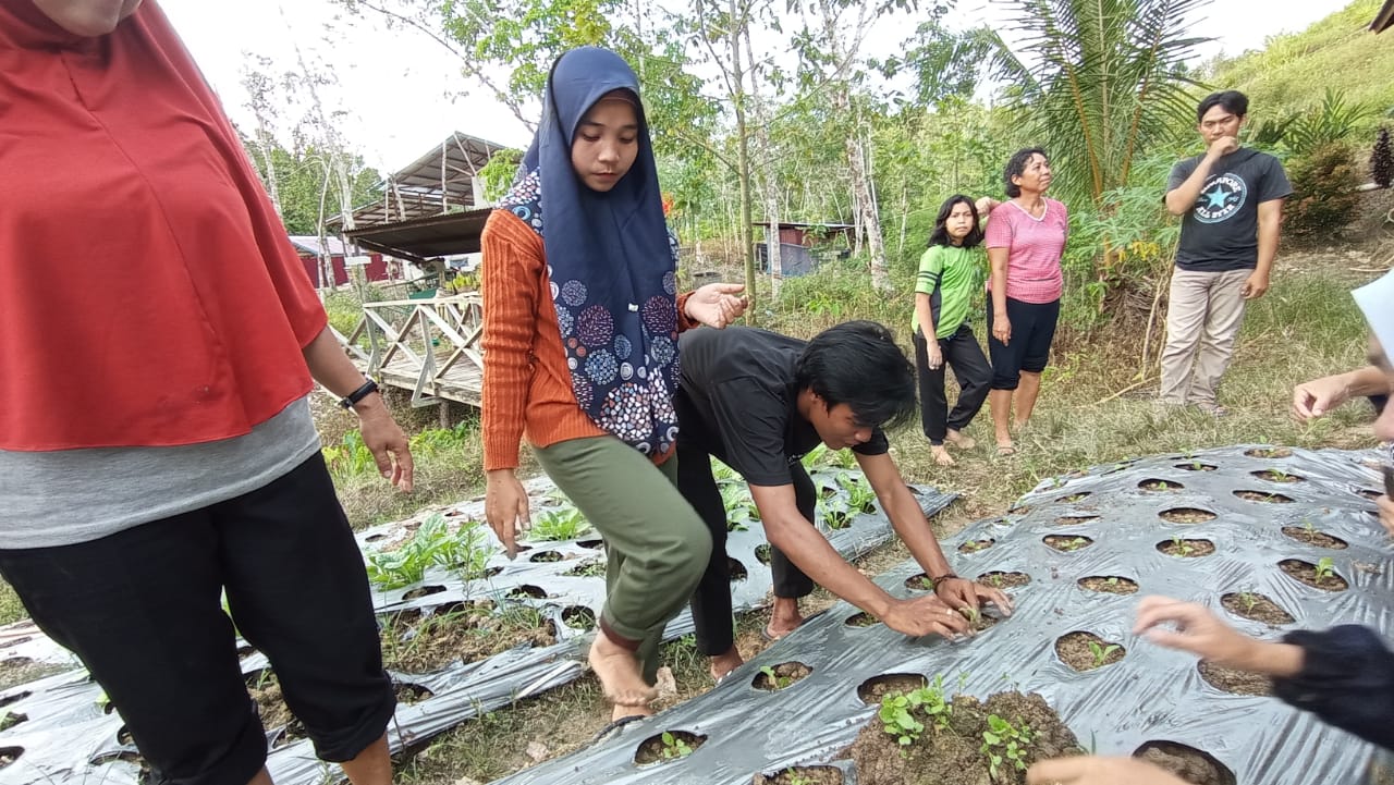 Perwakilan perempuan dari Desa Nanga Lauk sedang belajar menanam sayur