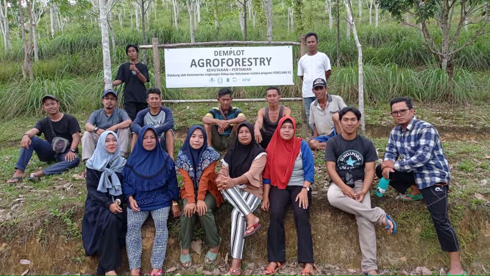 Peran perempuan dalam belajar agroforestry