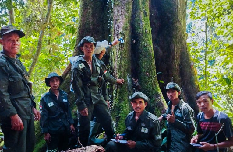 LPHD Nyuai Peningun Desa Nanga Jemah Mulai Terapkan Patroli Hutan Mandiri