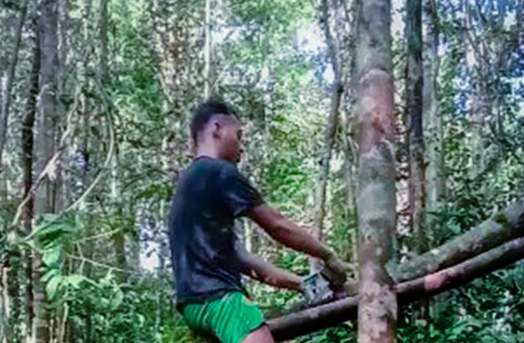 Dua Kamera Trap Mulai Dipasang di Hutan Desa Nanga Lauk