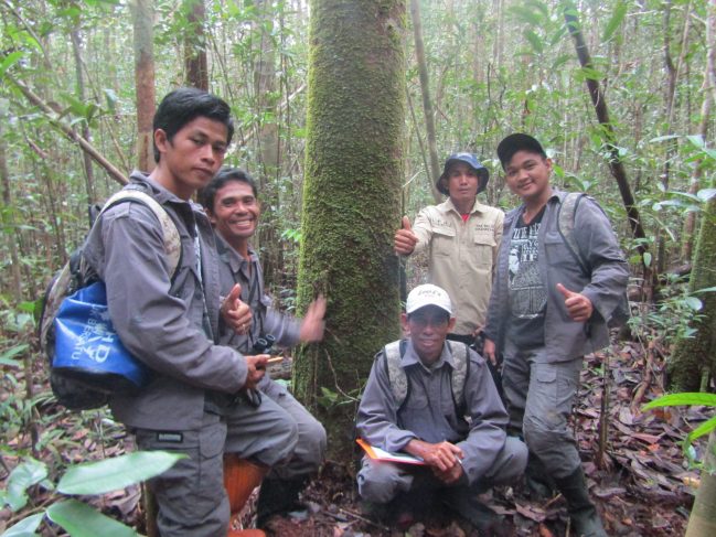 Patroli hutan desa yang dilakukan LPHD Lauk Bersatu didampingi PRCF Indonesia