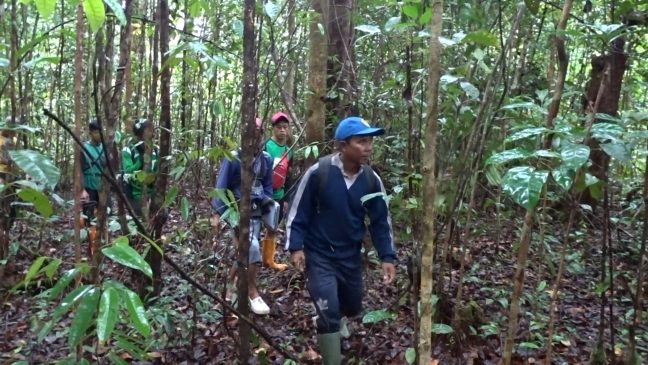 Patroli batas desa dilakukan LPHD Lauk Bersatu didampingi PRCF Indonesia