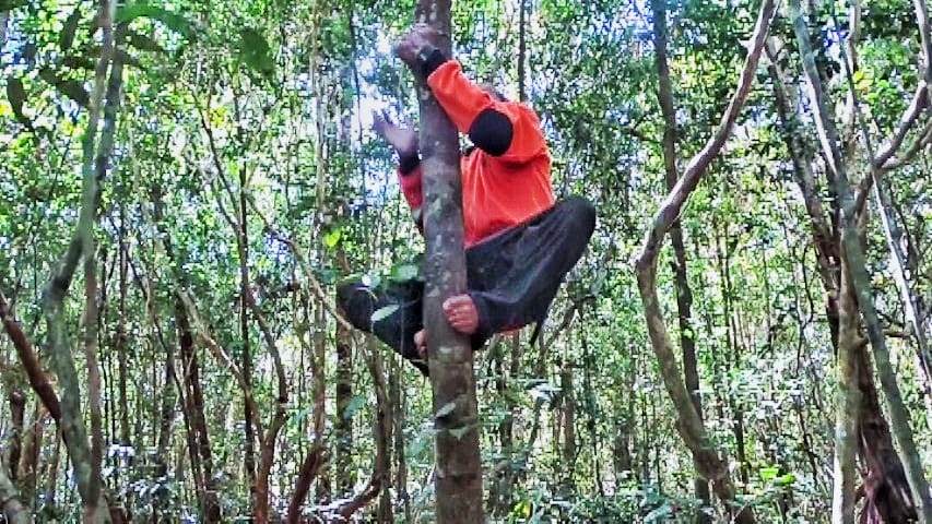 Pemasangan plang