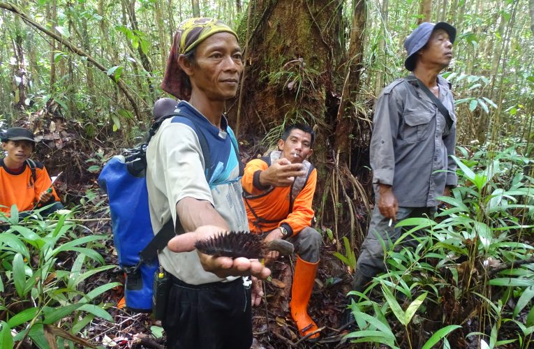 Tiga Kendala Dalam Pengelolaan Hutan Desa
