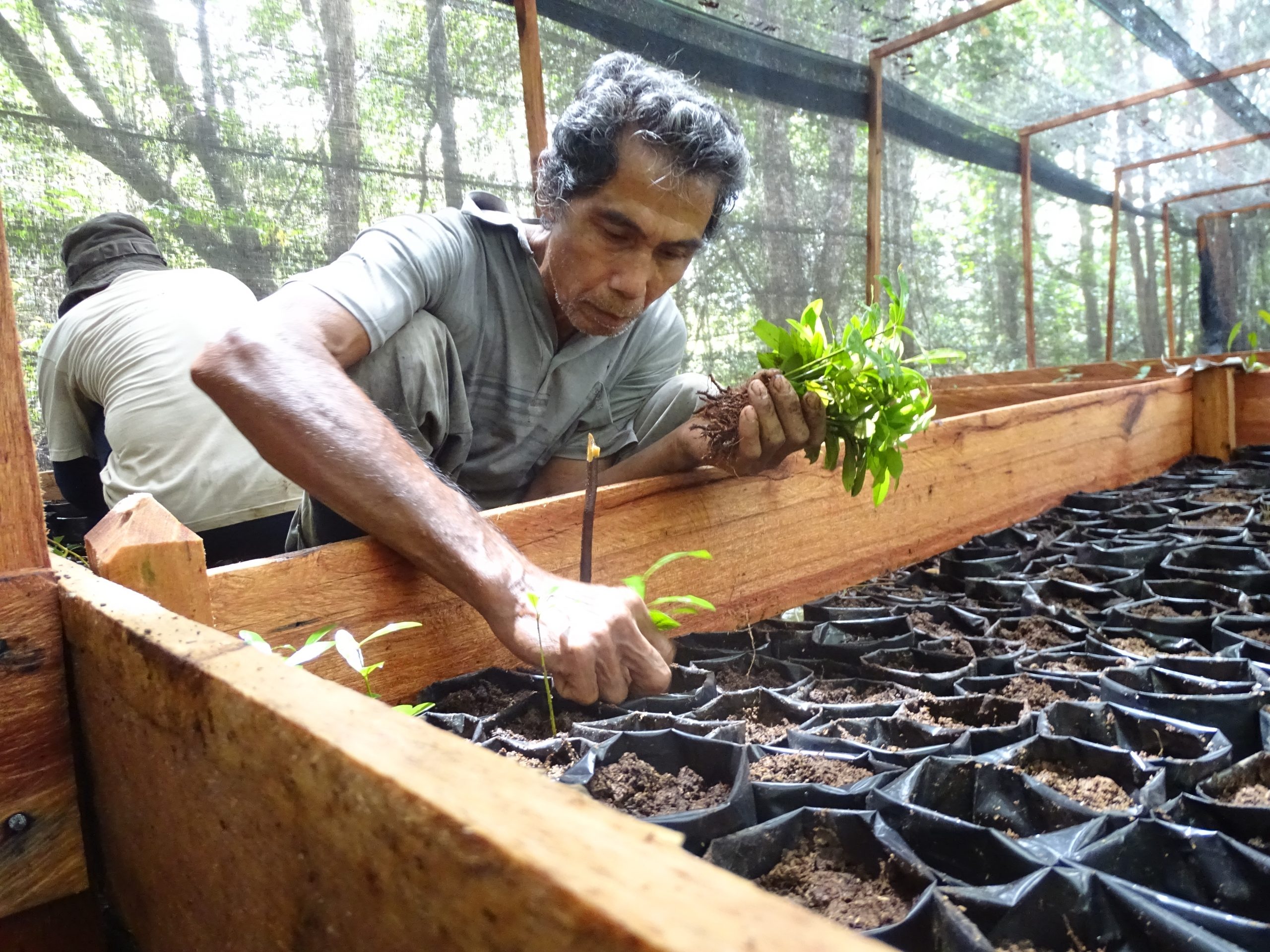 Lokakarya perluasan hutan desa
