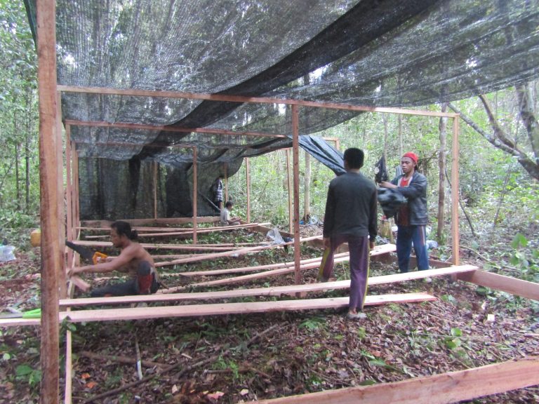 Membuat tempat persemaian bibit pohon