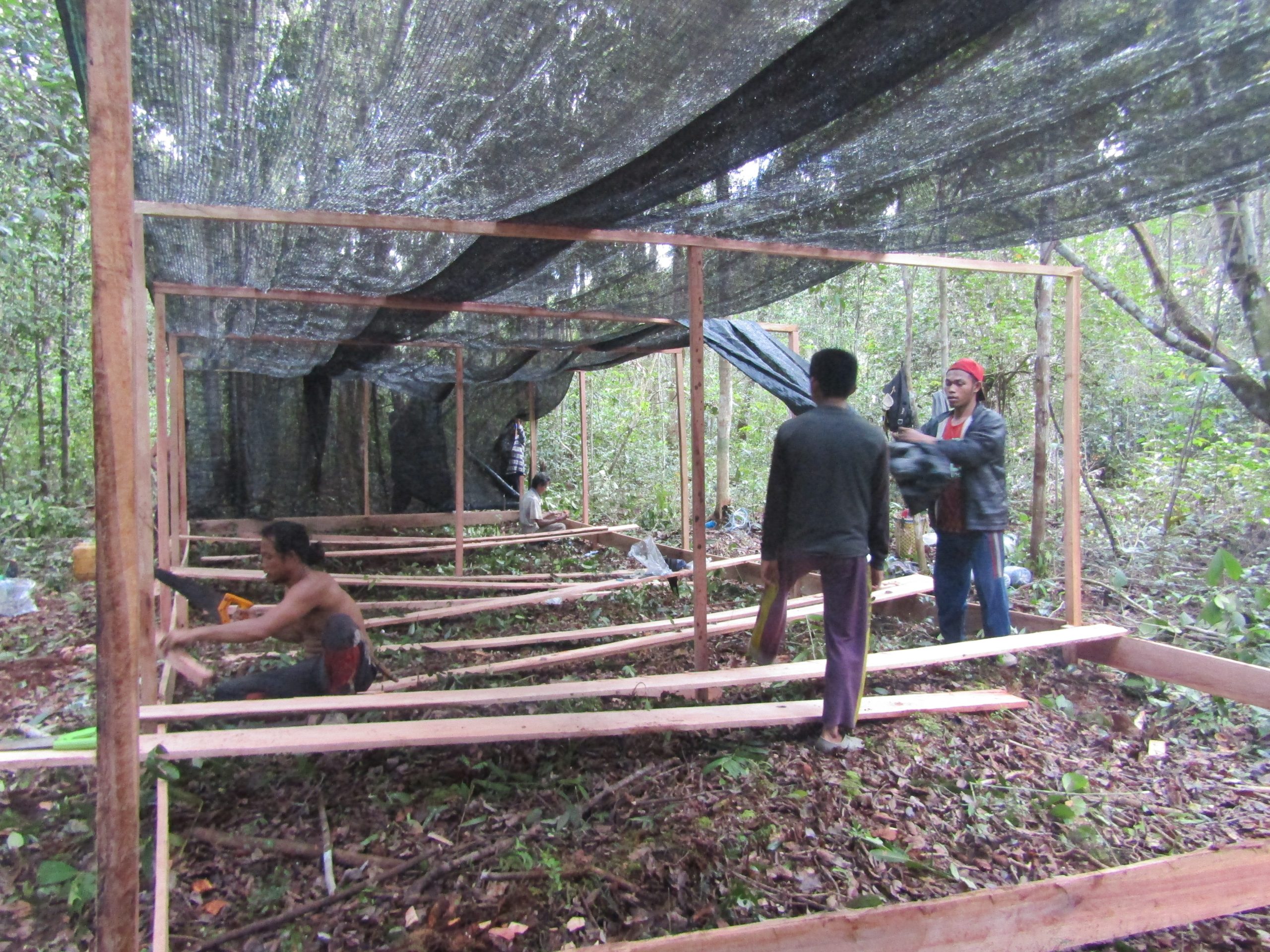 Membuat tempat persemaian bibit pohon
