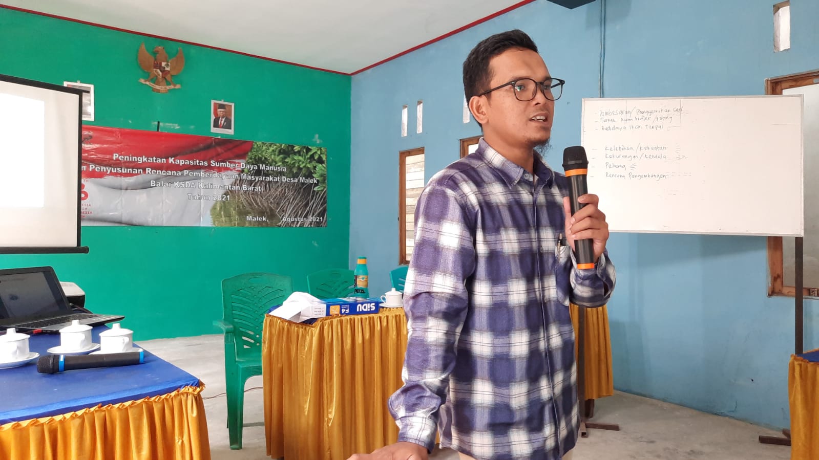 Penggemukan sapi