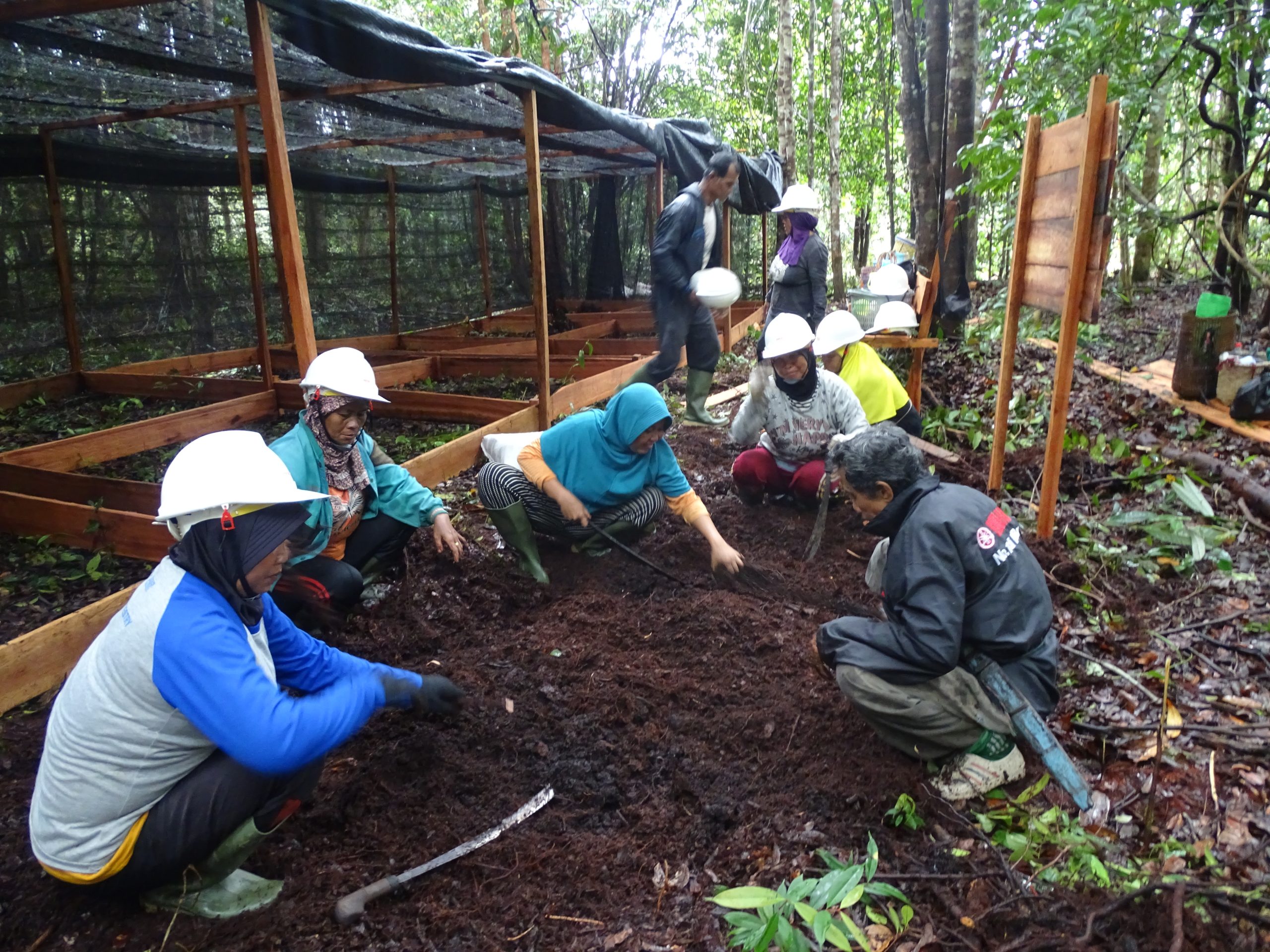 Agroforestry