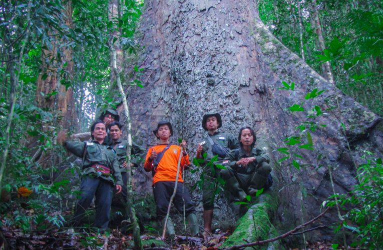 Akhir Tahun Patroli Hutan Tetap Dilakukan