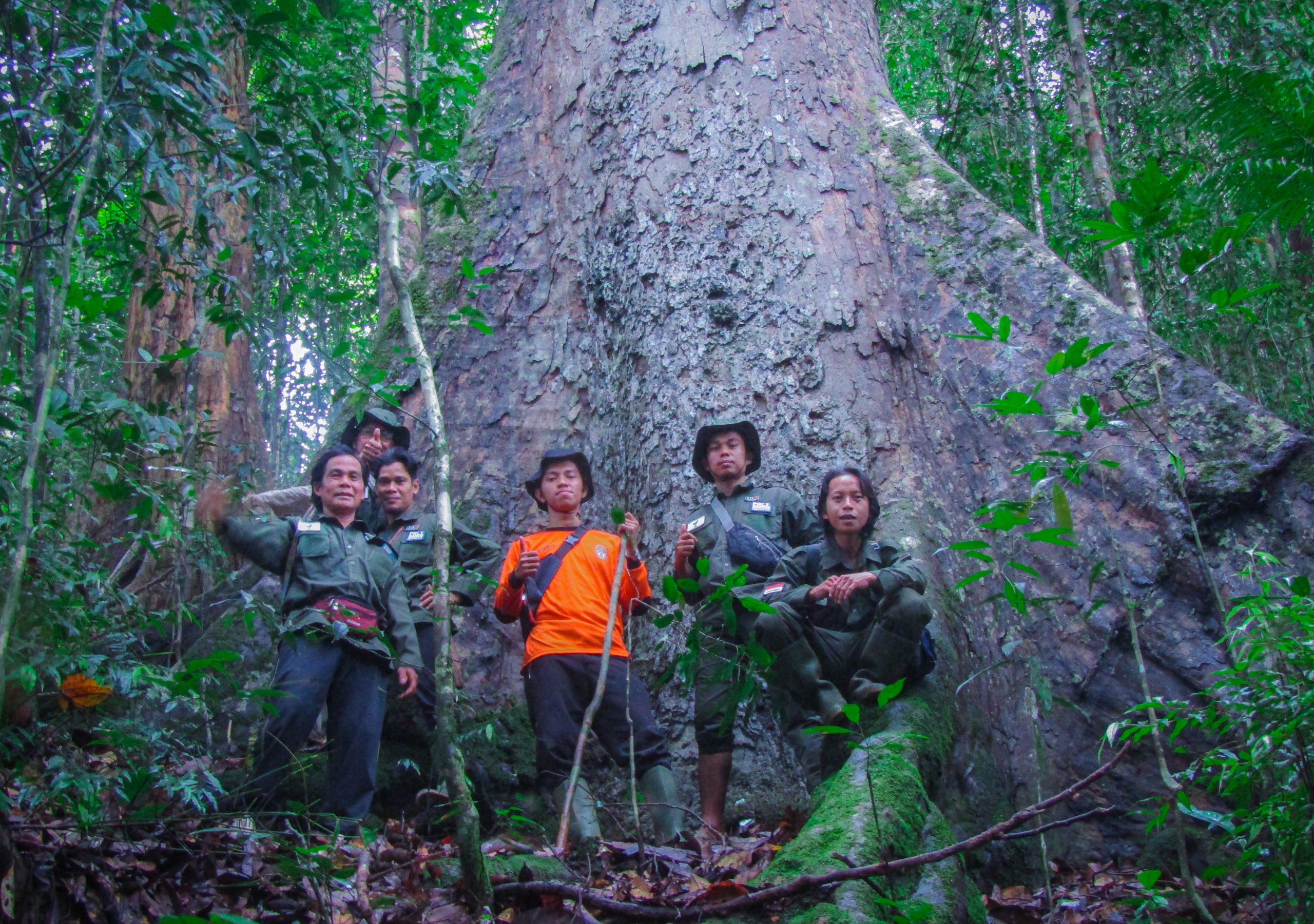 Akhir tahun tim patroli hutan nanga jemah tetap melakukan tugasnya