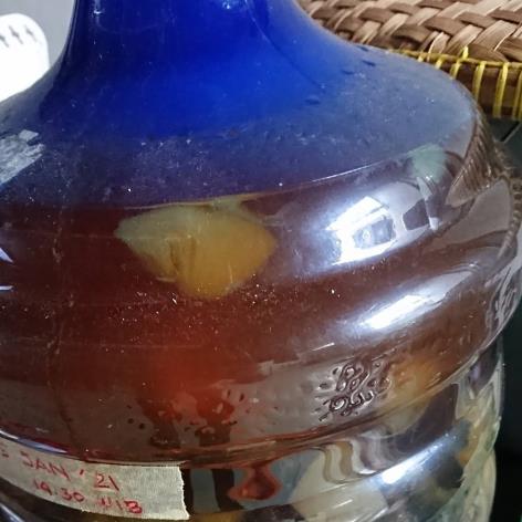 Contoh proses Eco-enzyme tanpa jamur pitera