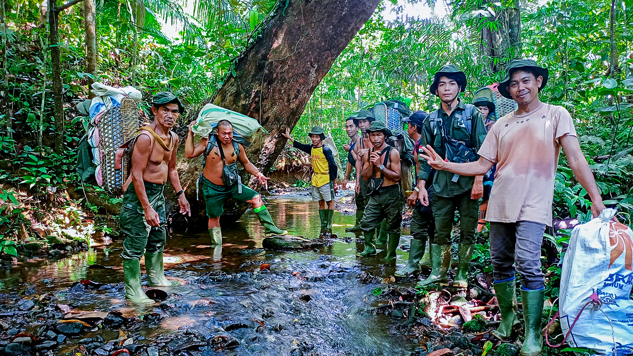 Patroli hutan