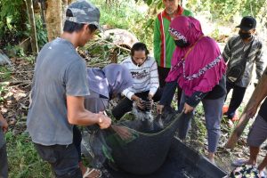 Biochar