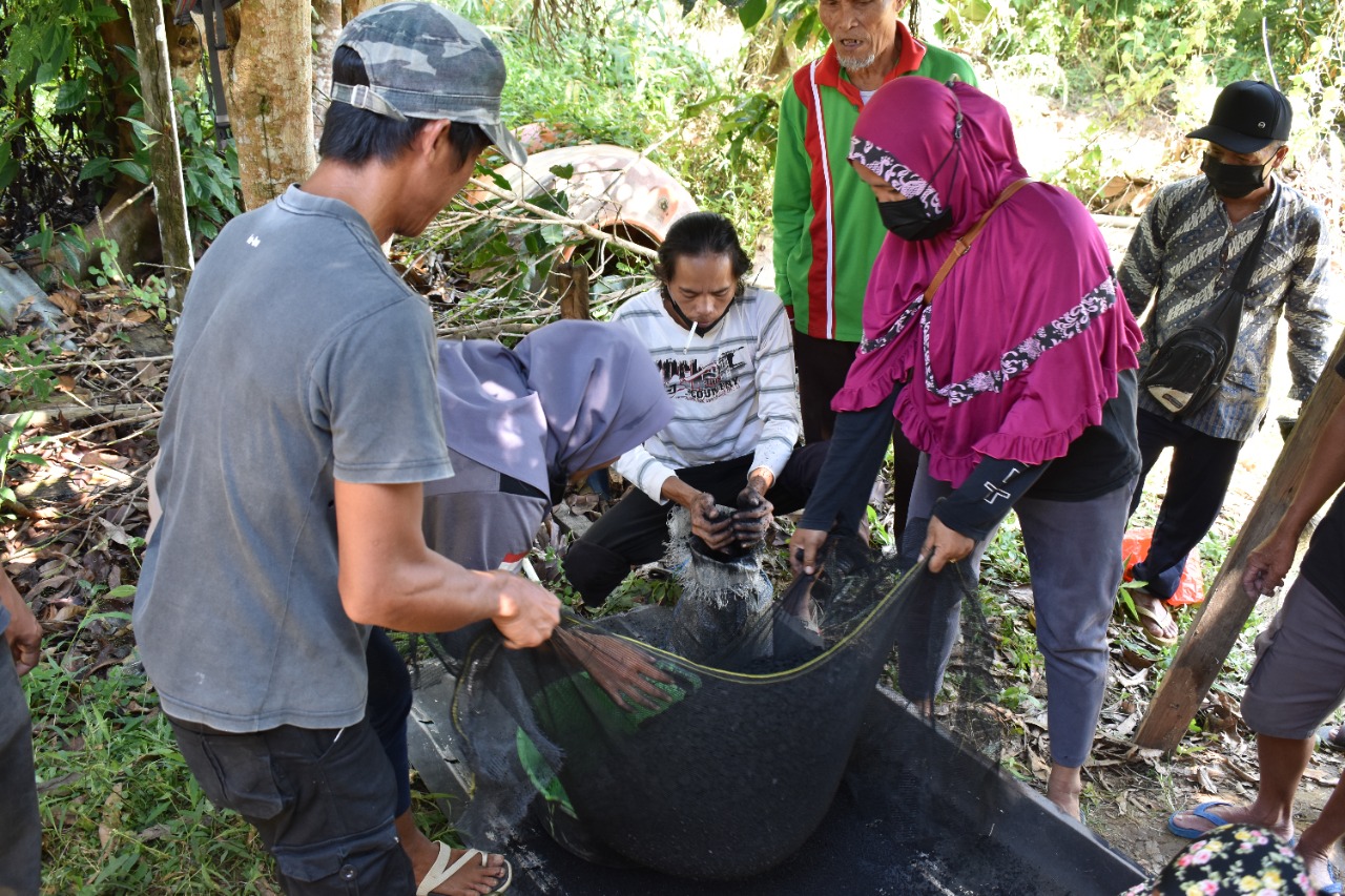 Biochar