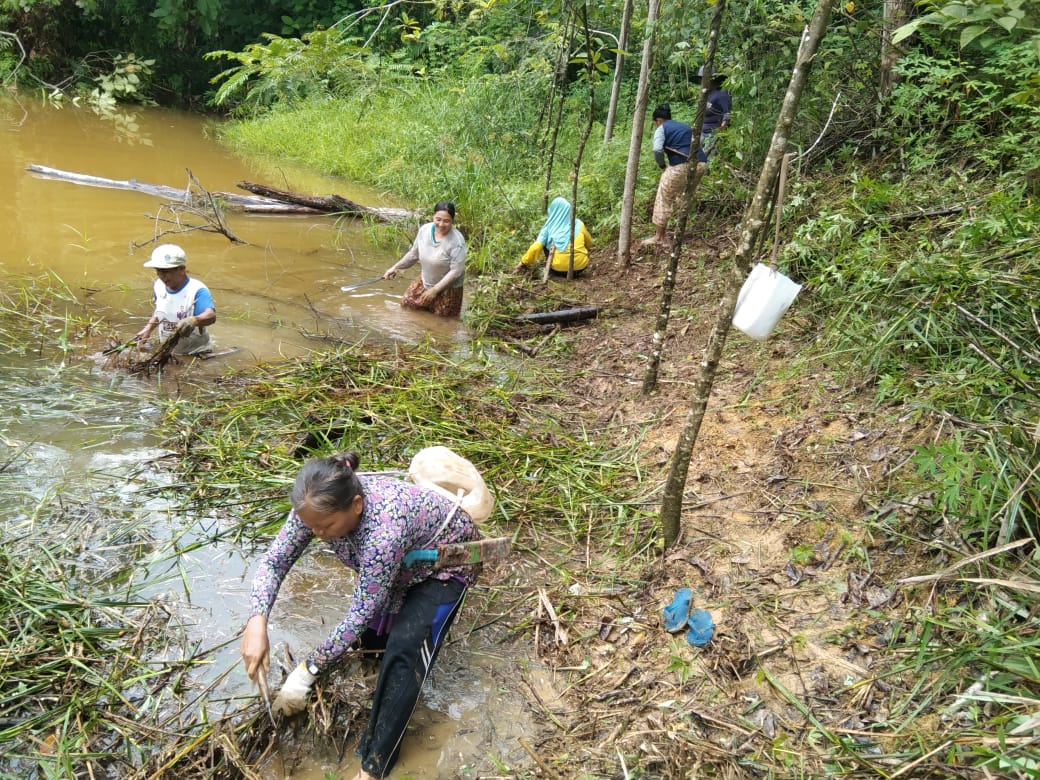 LPHD Nyuai Peningun melalui KPUS Ikan Air Tawar sedang membersihkan kolam ikan