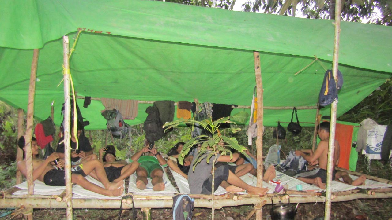 Sasaran Program Rimba Collective
