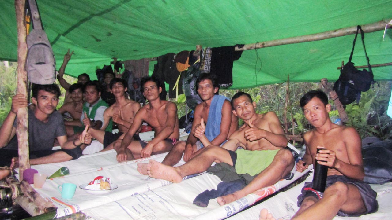 Sasaran Program Rimba Collective