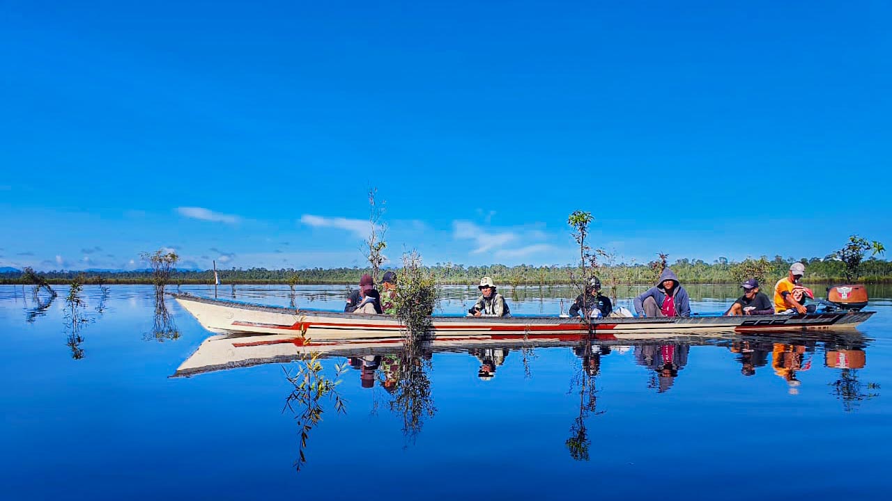 Patroli hutan