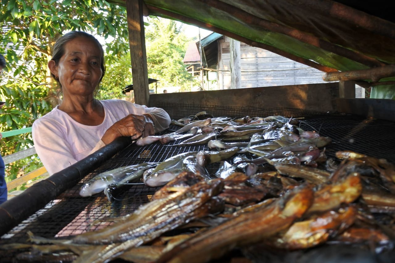 Program livelihood