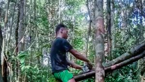Pemasangan kamera trap