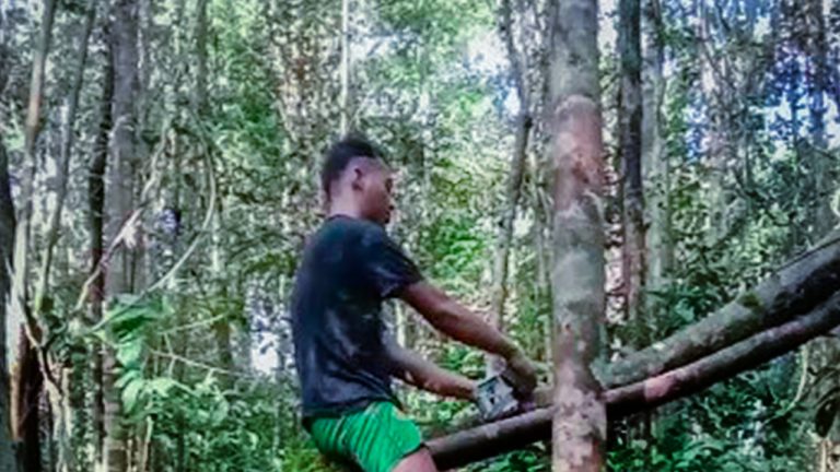 Pemasangan kamera trap