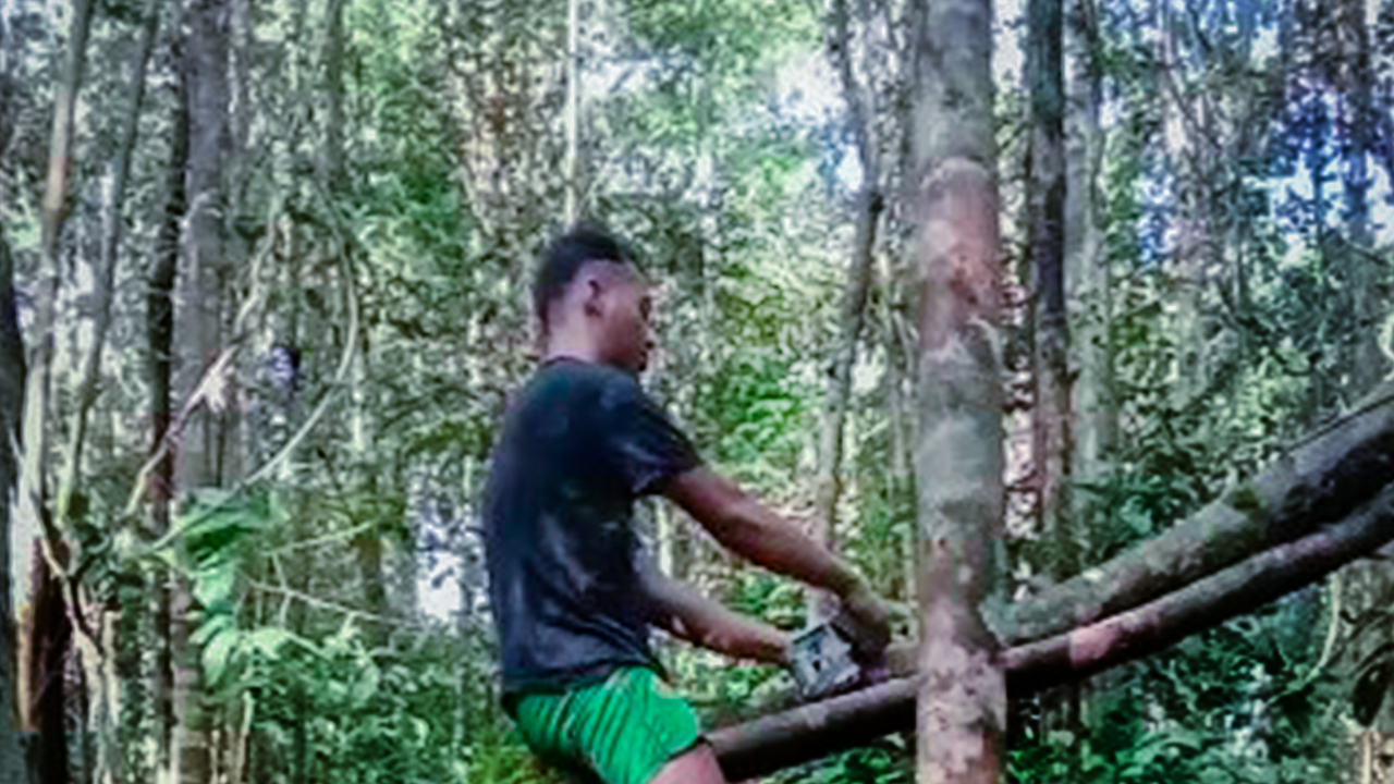 Pemasangan kamera trap