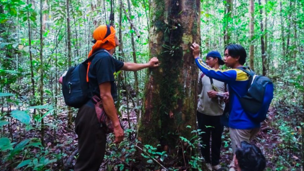 Patroli hutan