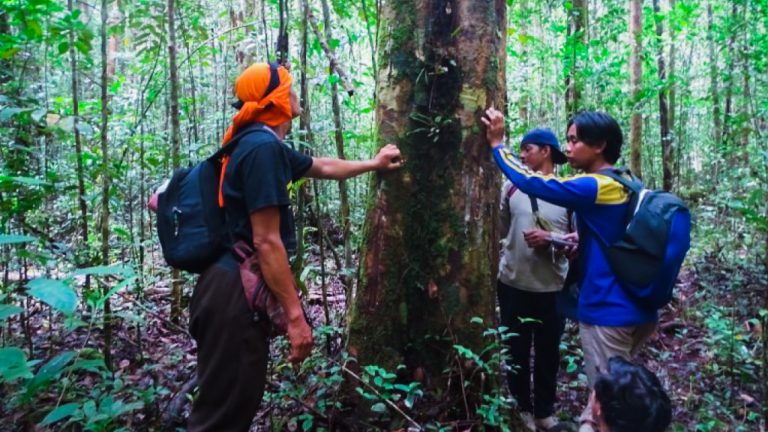 Patroli hutan