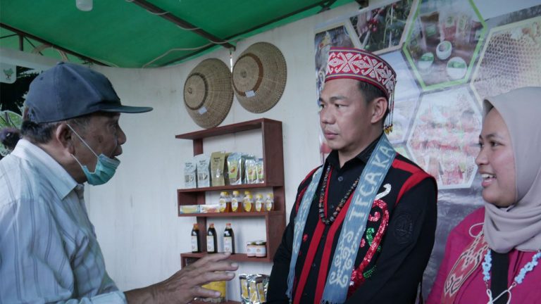 Bupati Kapuas Hulu