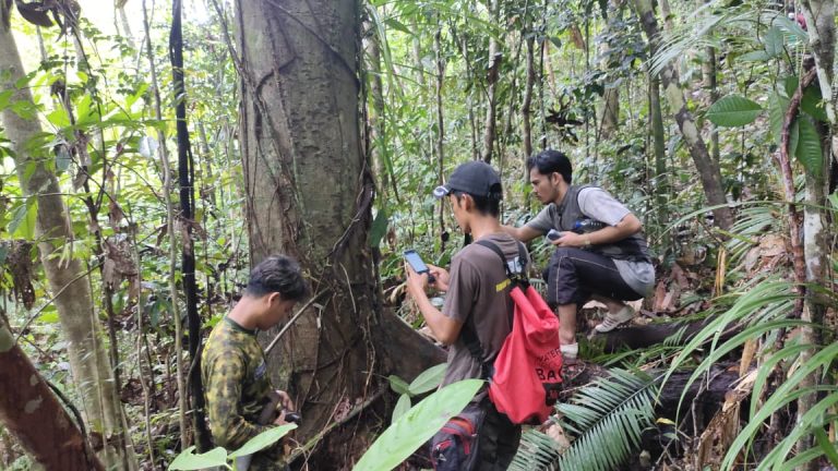Restorasi hutan