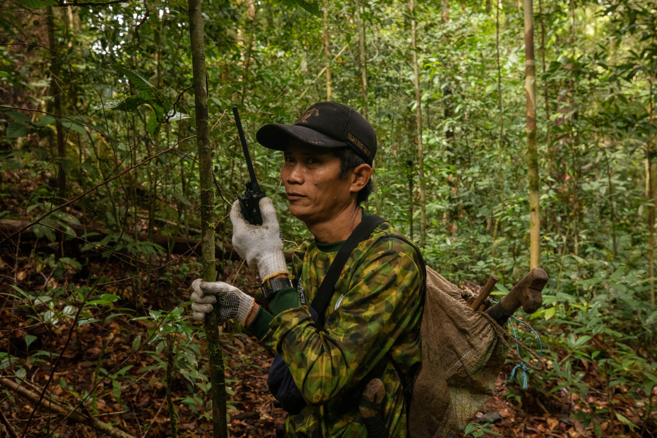 Patroli Hutan Desa Tanjung