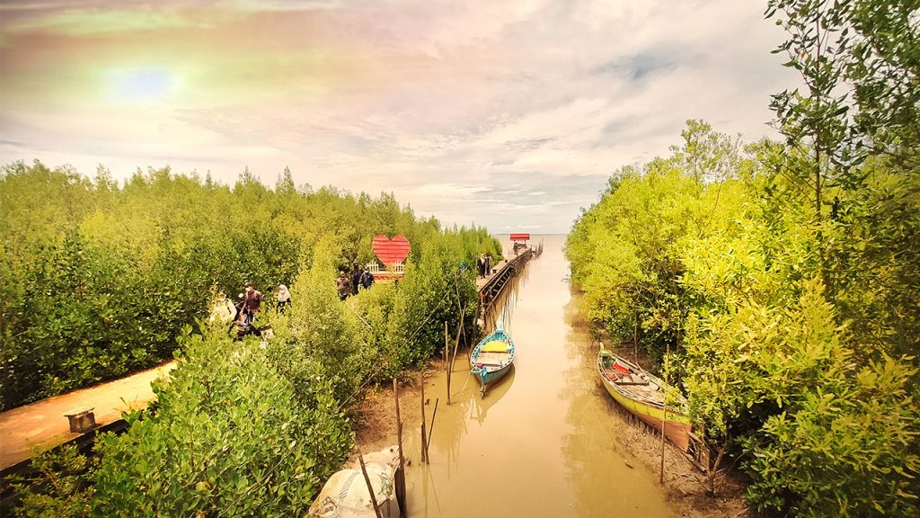 Hutan mangrove