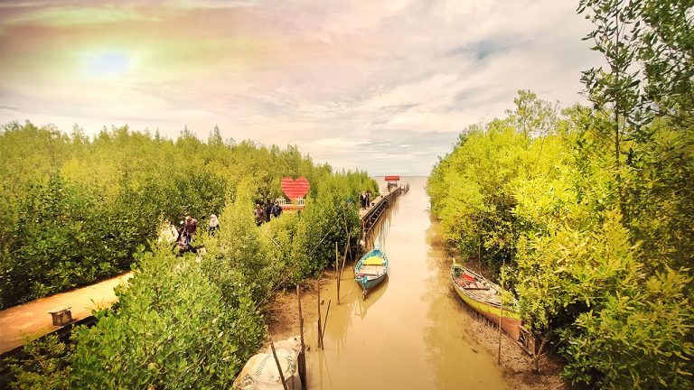 Hutan mangrove