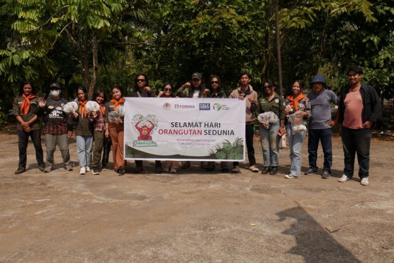 Kampanye Orangutan