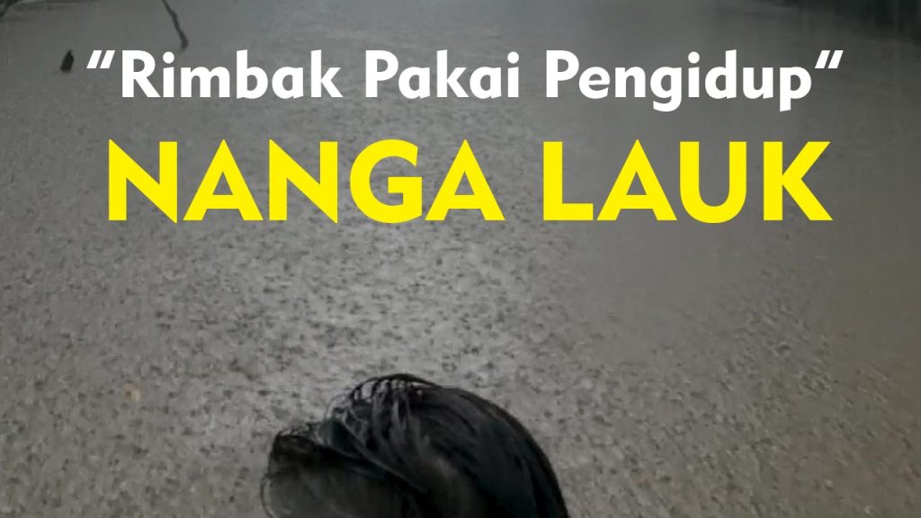 Resensi buku