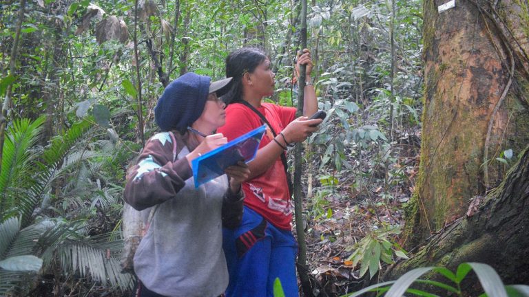 Peran Perempuan