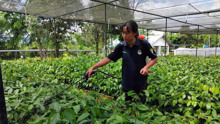 Perseonel Lembaga Desa Pengelola Hutan (LDPH) Bukit Belang didampingi pengurus PRCF Indonesia saat berada di Persemaian Permanen Nanga Pinoh
