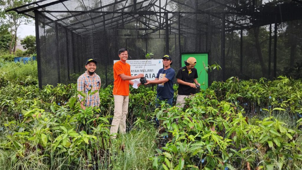 Tanaman hutan