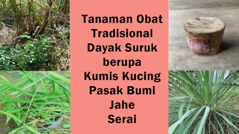 tanaman obat