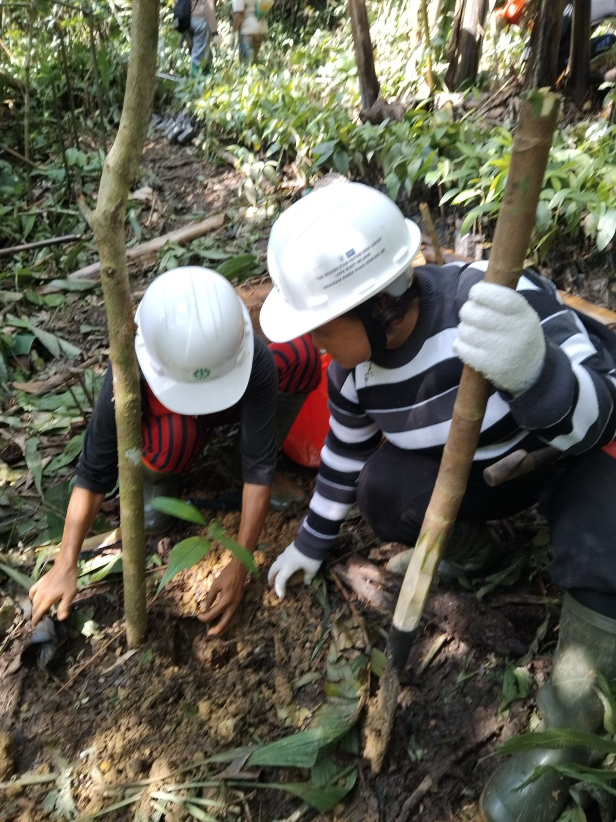 PROGRAM 2 HARI INI
