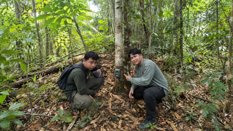 camare trap di hutan desa Sri Wangi